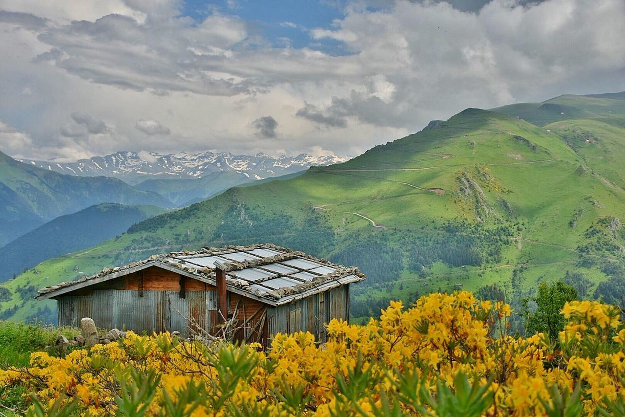 Gumul Pansiyon Uzungöl Dış mekan fotoğraf