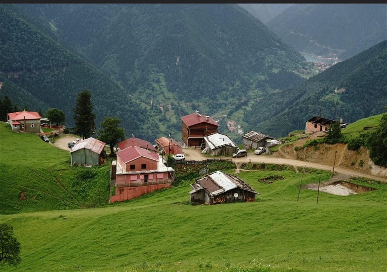 Gumul Pansiyon Uzungöl Dış mekan fotoğraf